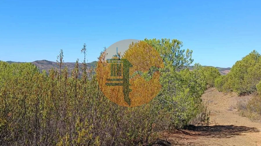 Terreno para Venda em Vaqueiros