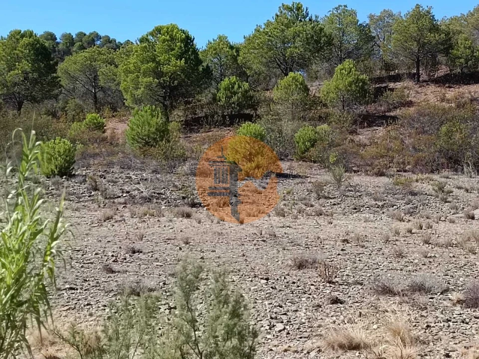Terreno para Venda em Vaqueiros Foto 1