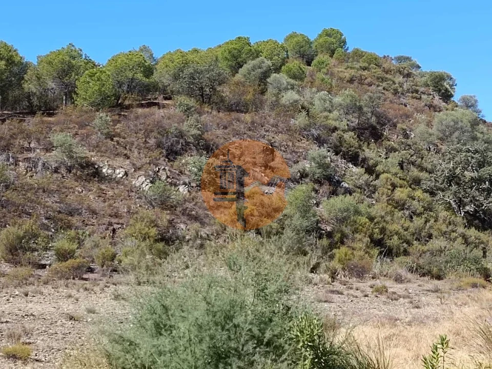 Terreno para Venda em Vaqueiros Foto 11