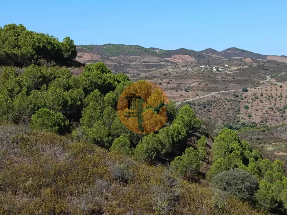 Terreno para Venda em Vaqueiros Foto 12