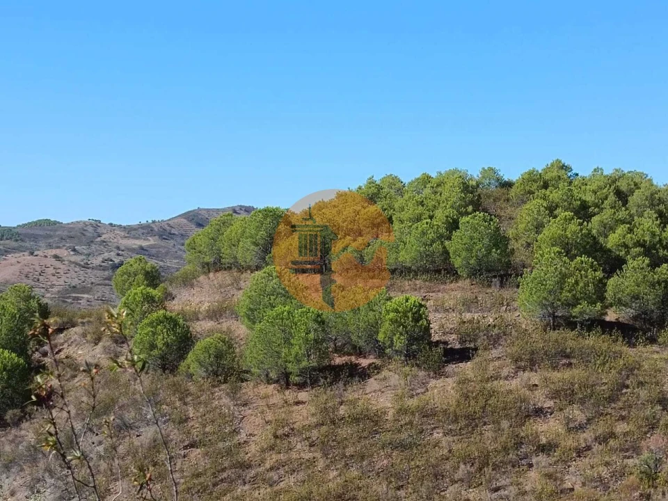 Terreno para Venda em Vaqueiros Foto 13