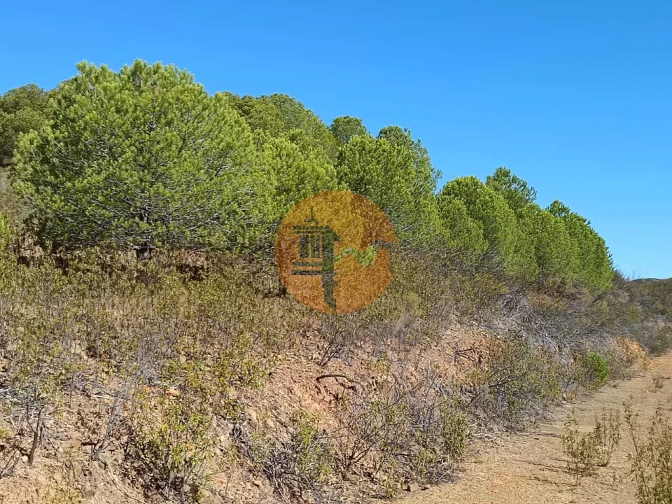 Terreno para Venda em Vaqueiros Foto 14