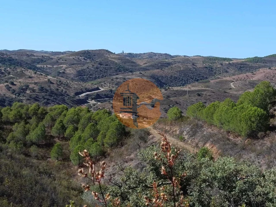 Terreno para Venda em Vaqueiros Foto 15