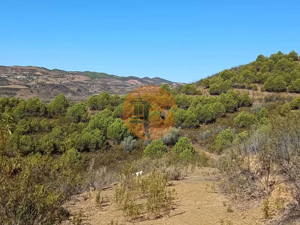 Terreno para Venda em Vaqueiros Foto 17