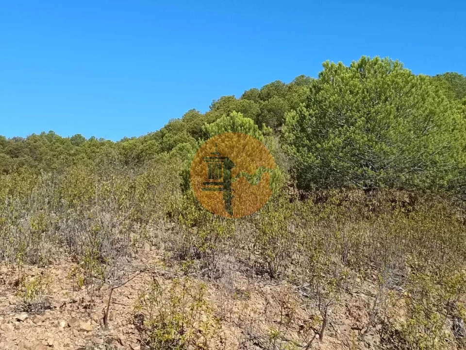 Terreno para Venda em Vaqueiros Foto 18