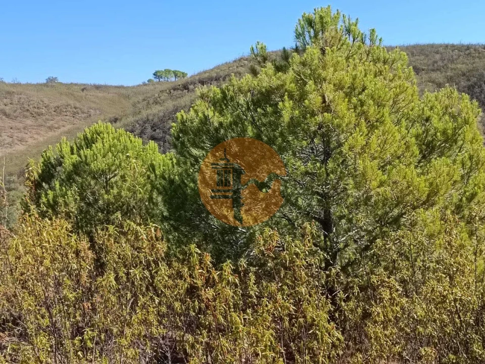 Terreno para Venda em Vaqueiros Foto 19