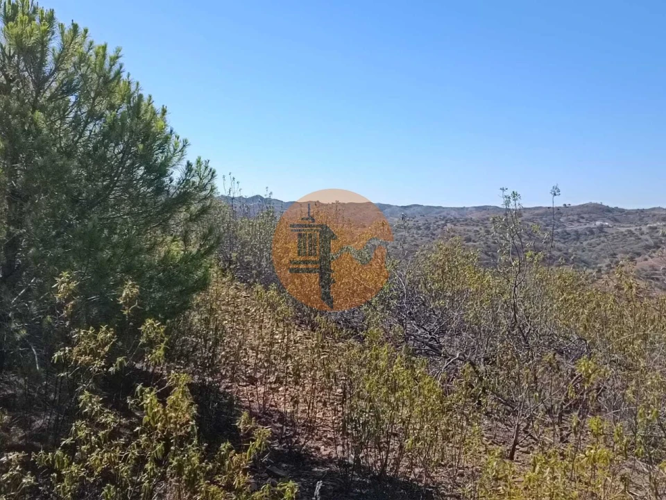 Terreno para Venda em Vaqueiros Foto 22