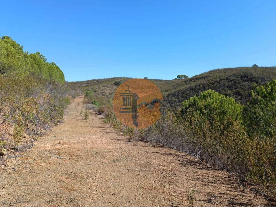 Terreno para Venda em Vaqueiros Foto 24