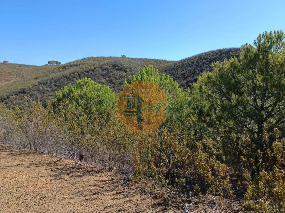 Terreno para Venda em Vaqueiros Foto 28