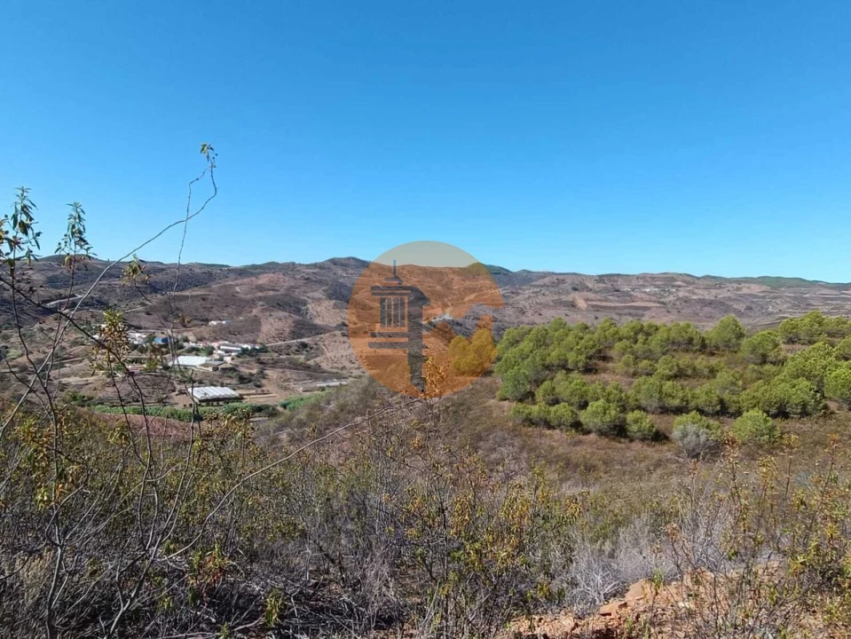 Terreno para Venda em Vaqueiros Foto 29