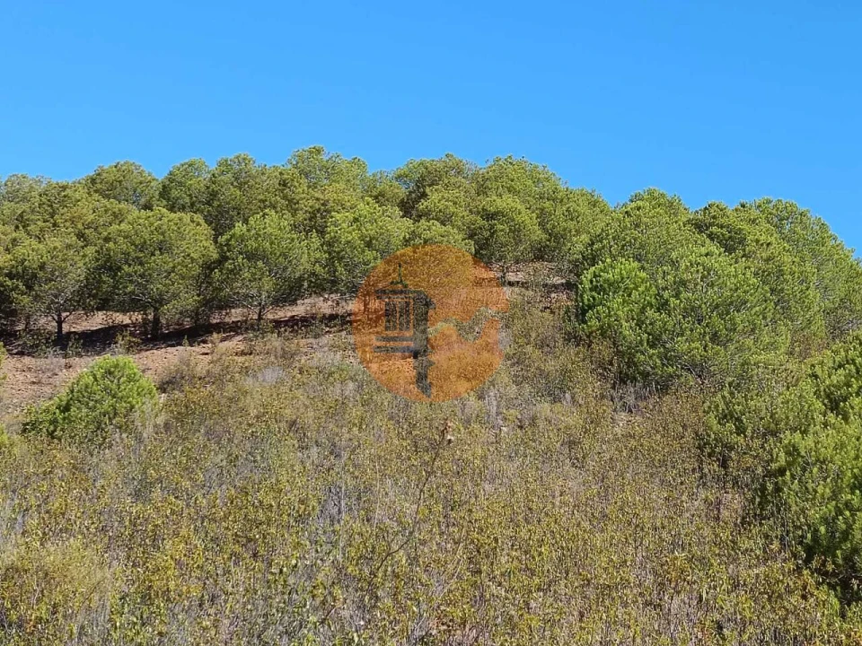 Terreno para Venda em Vaqueiros Foto 31