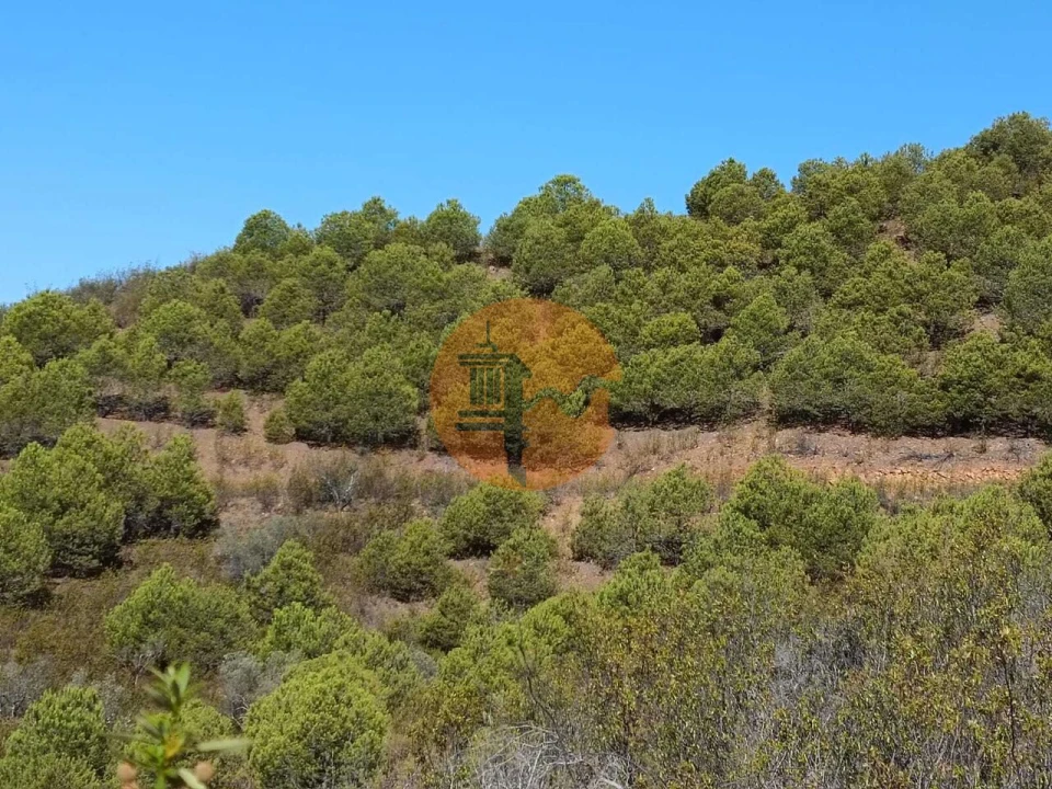 Terreno para Venda em Vaqueiros Foto 32