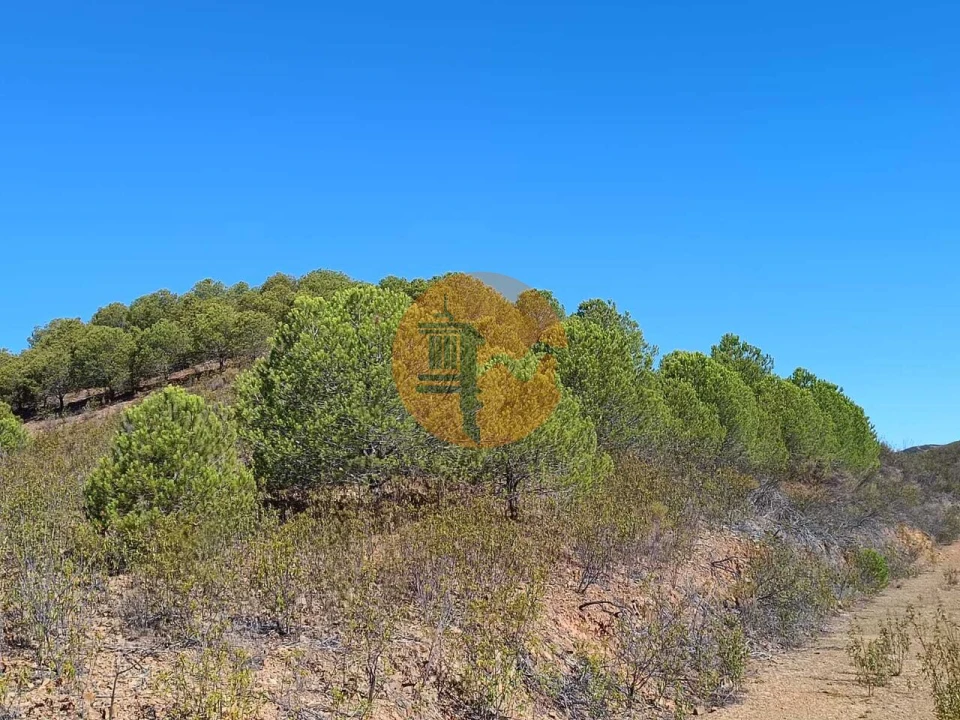 Terreno para Venda em Vaqueiros Foto 35