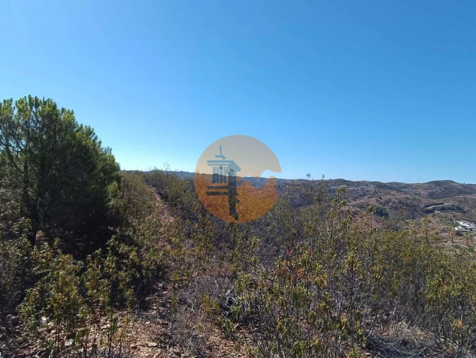 Terreno para Venda em Vaqueiros Foto 38