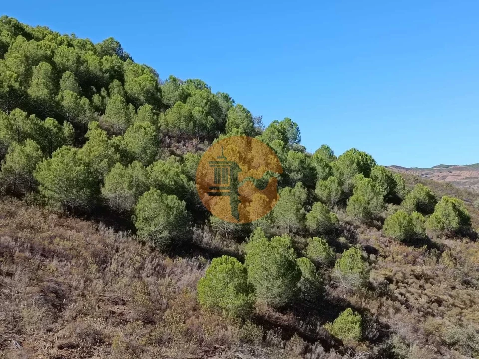 Terreno para Venda em Vaqueiros Foto 44