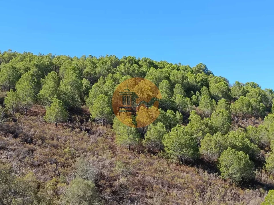 Terreno para Venda em Vaqueiros Foto 47