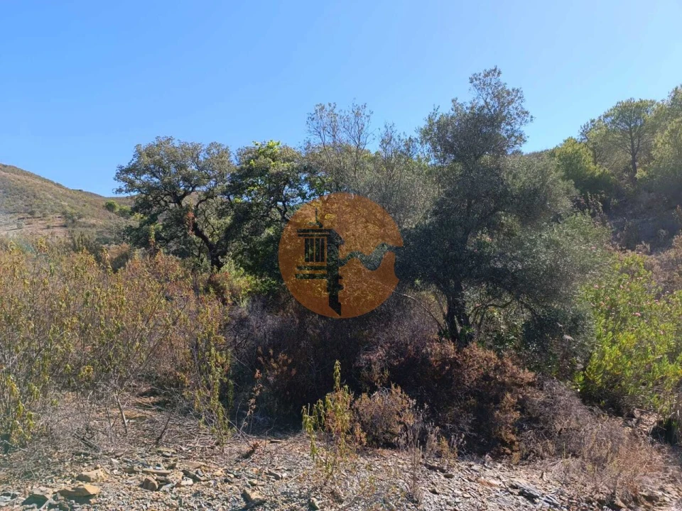 Terreno para Venda em Vaqueiros Foto 52