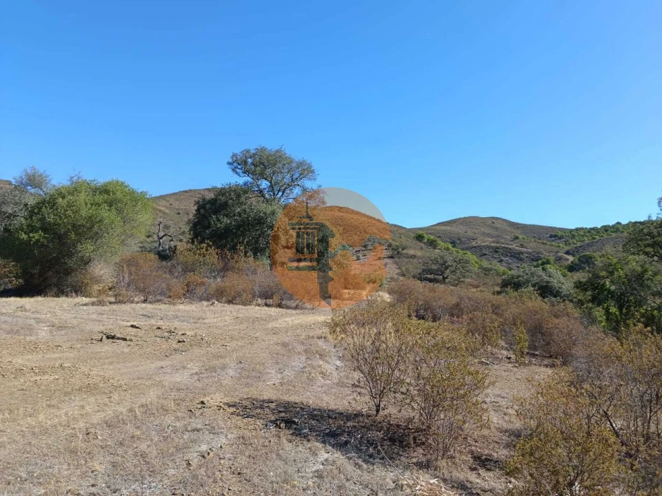 Terreno para Venda em Vaqueiros Foto 34