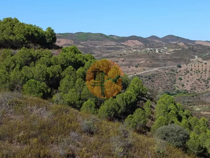 Terreno para Venda em Vaqueiros Foto 12