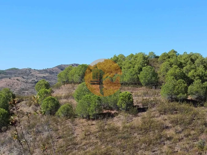 Terreno para Venda em Vaqueiros Foto 13