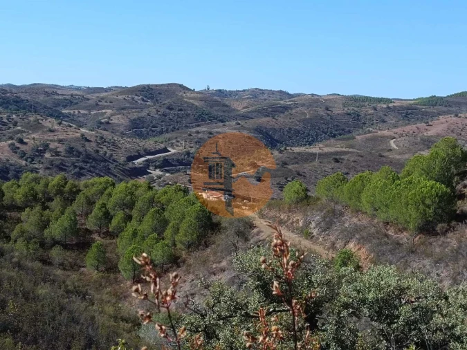 Terreno para Venda em Vaqueiros Foto 15