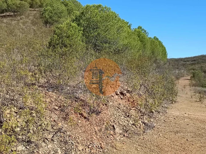 Terreno para Venda em Vaqueiros Foto 16