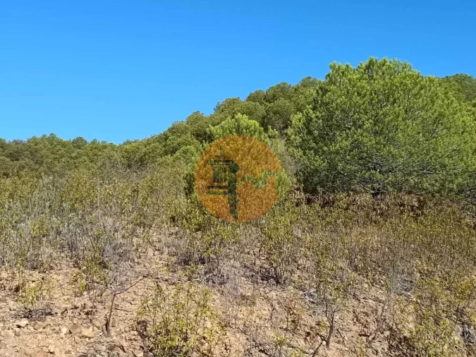 Terreno para Venda em Vaqueiros Foto 18