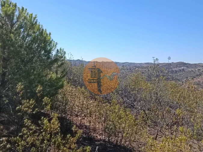 Terreno para Venda em Vaqueiros Foto 22