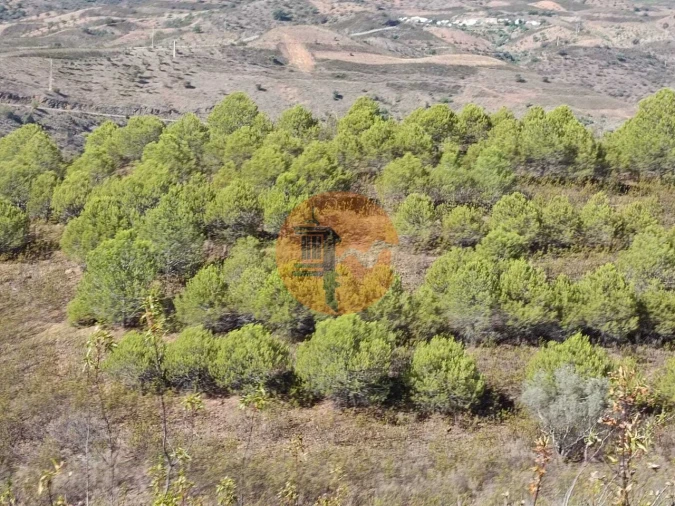 Terreno para Venda em Vaqueiros Foto 25