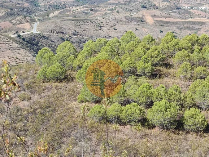Terreno para Venda em Vaqueiros Foto 27