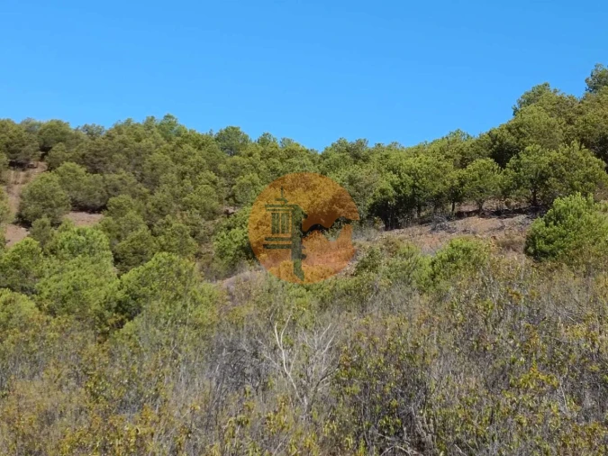 Terreno para Venda em Vaqueiros Foto 30
