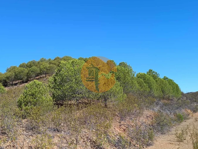 Terreno para Venda em Vaqueiros Foto 35