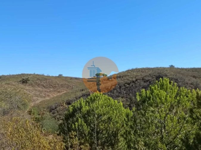 Terreno para Venda em Vaqueiros Foto 36