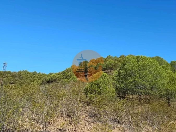 Terreno para Venda em Vaqueiros Foto 37