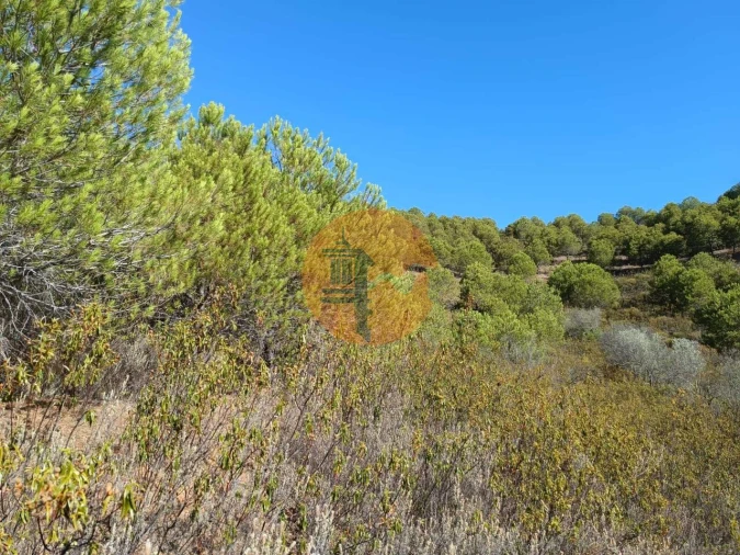 Terreno para Venda em Vaqueiros Foto 39