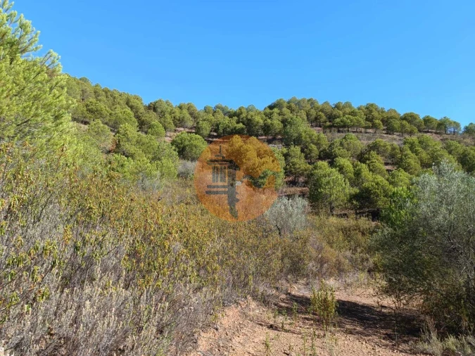 Terreno para Venda em Vaqueiros Foto 43