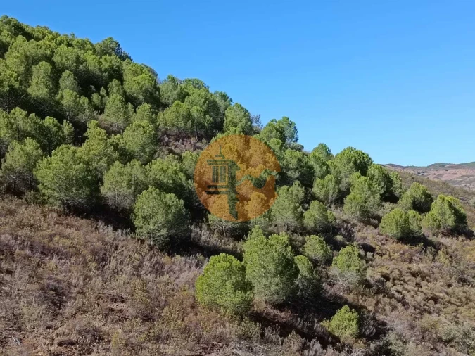 Terreno para Venda em Vaqueiros Foto 44