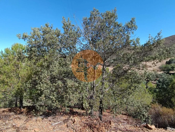 Terreno para Venda em Vaqueiros Foto 45