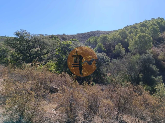 Terreno para Venda em Vaqueiros Foto 50