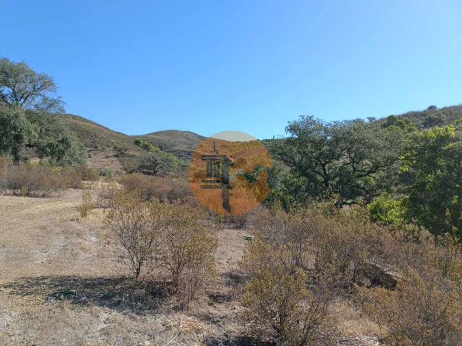 Terreno para Venda em Vaqueiros Foto 51