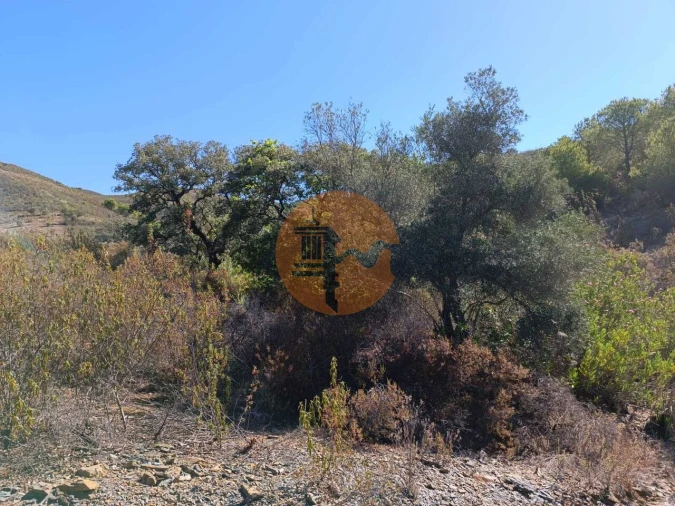 Terreno para Venda em Vaqueiros Foto 52