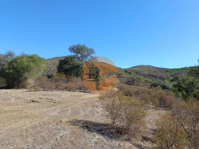 Terreno para Venda em Vaqueiros Foto 34