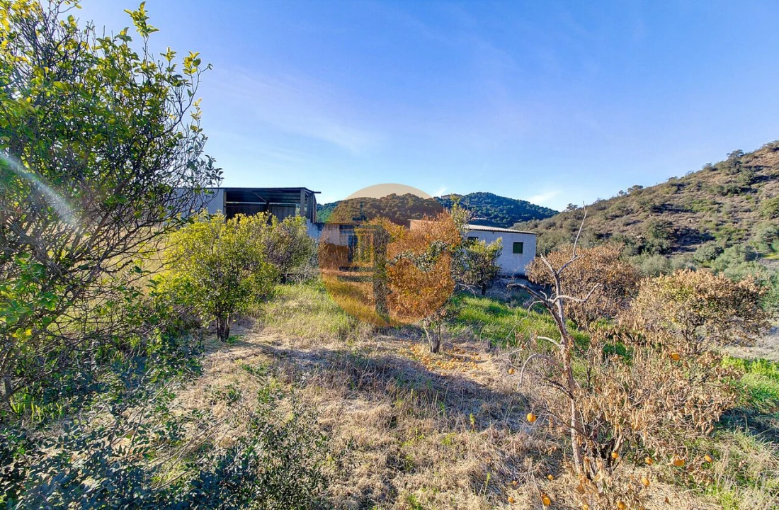 Terreno para Venda em Odeleite Foto 4