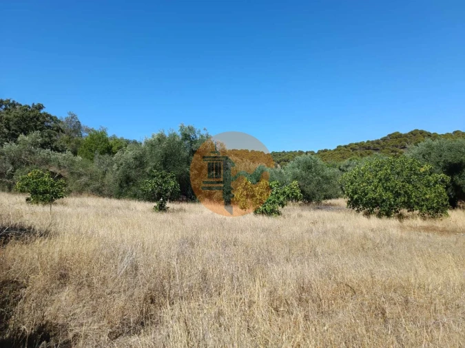 Terreno para Venda em Odeleite Foto 61