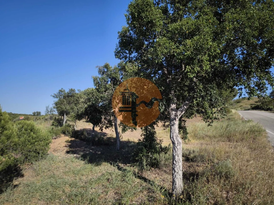 Terreno para Venda em Azinhal Foto 1