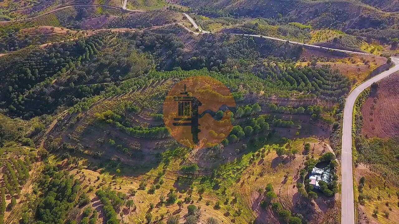 Terreno para Venda em Azinhal Foto 4