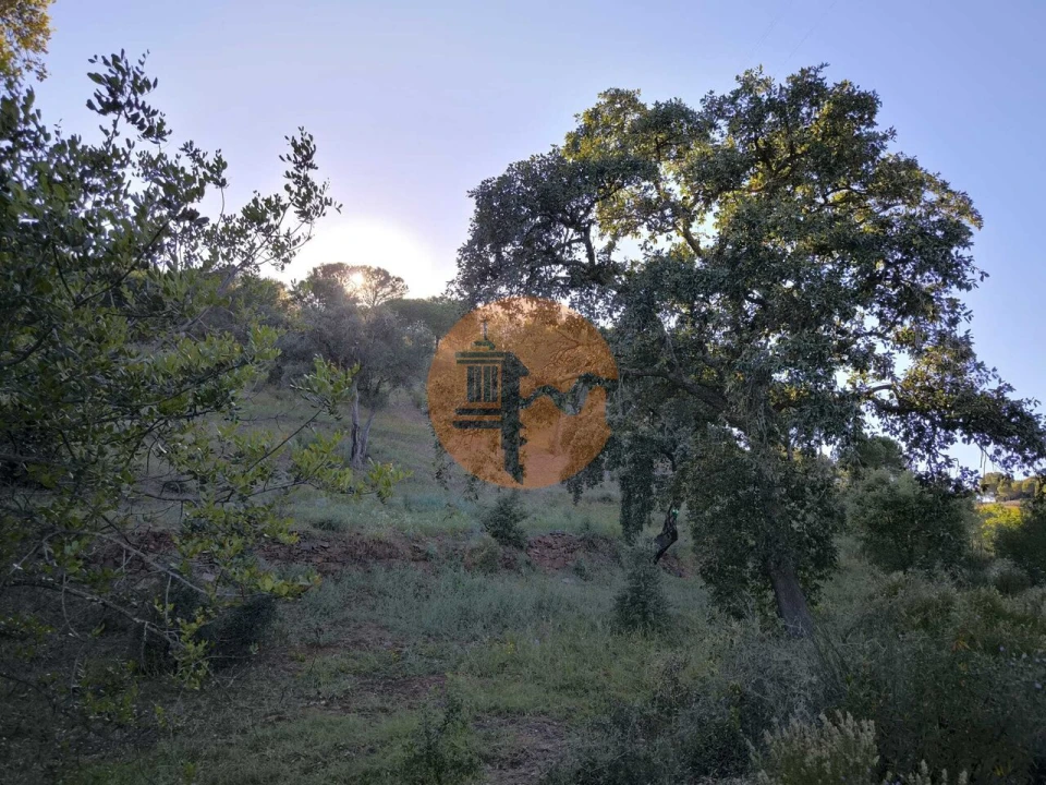 Terreno para Venda em Azinhal Foto 6