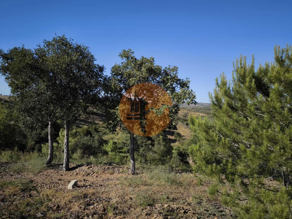 Terreno para Venda em Azinhal Foto 10