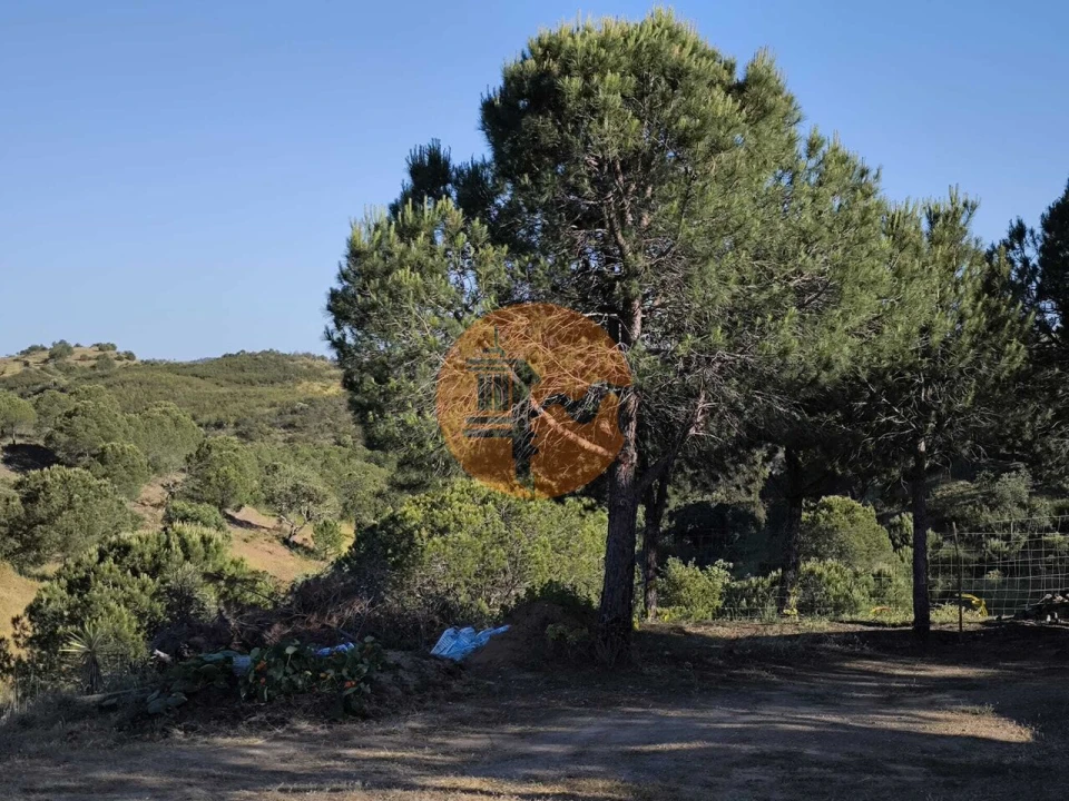 Terreno para Venda em Azinhal Foto 12