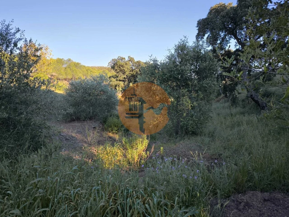 Terreno para Venda em Azinhal Foto 23